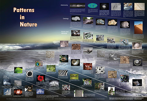 Patterns in Nature - Laminated Poster