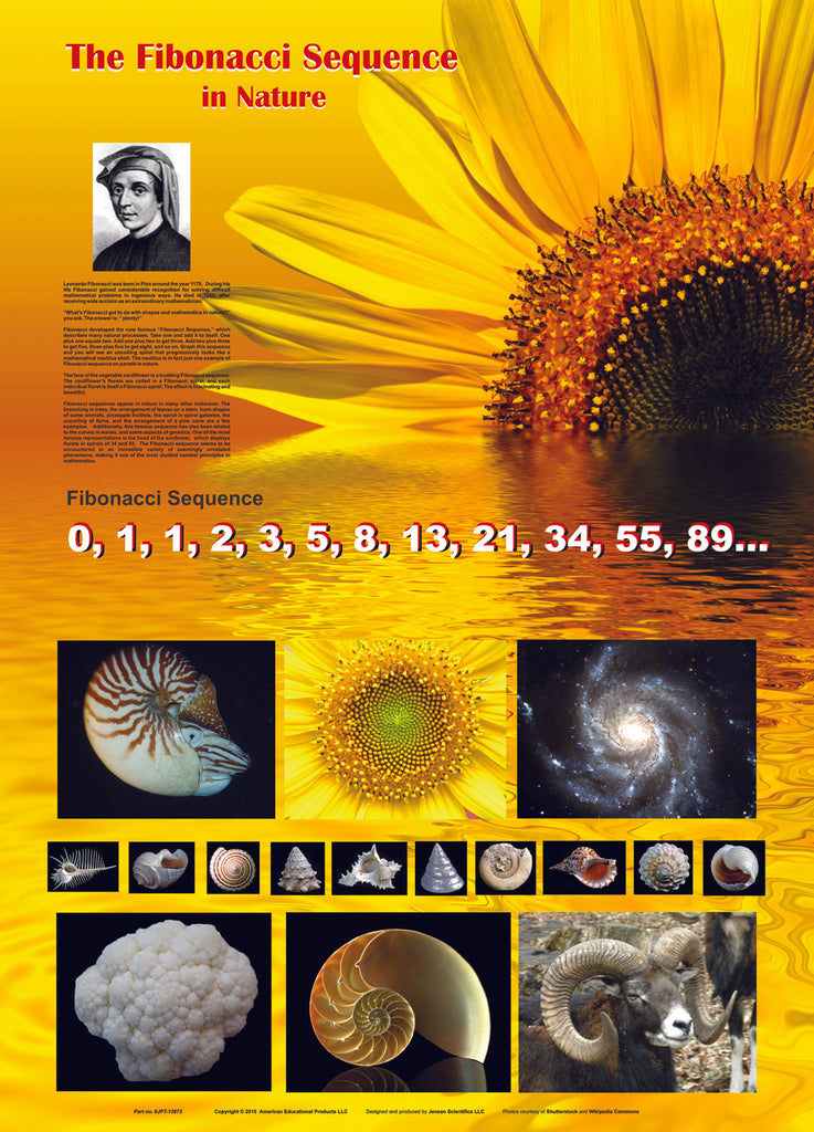 Fibonacci Sequence - Laminated poster