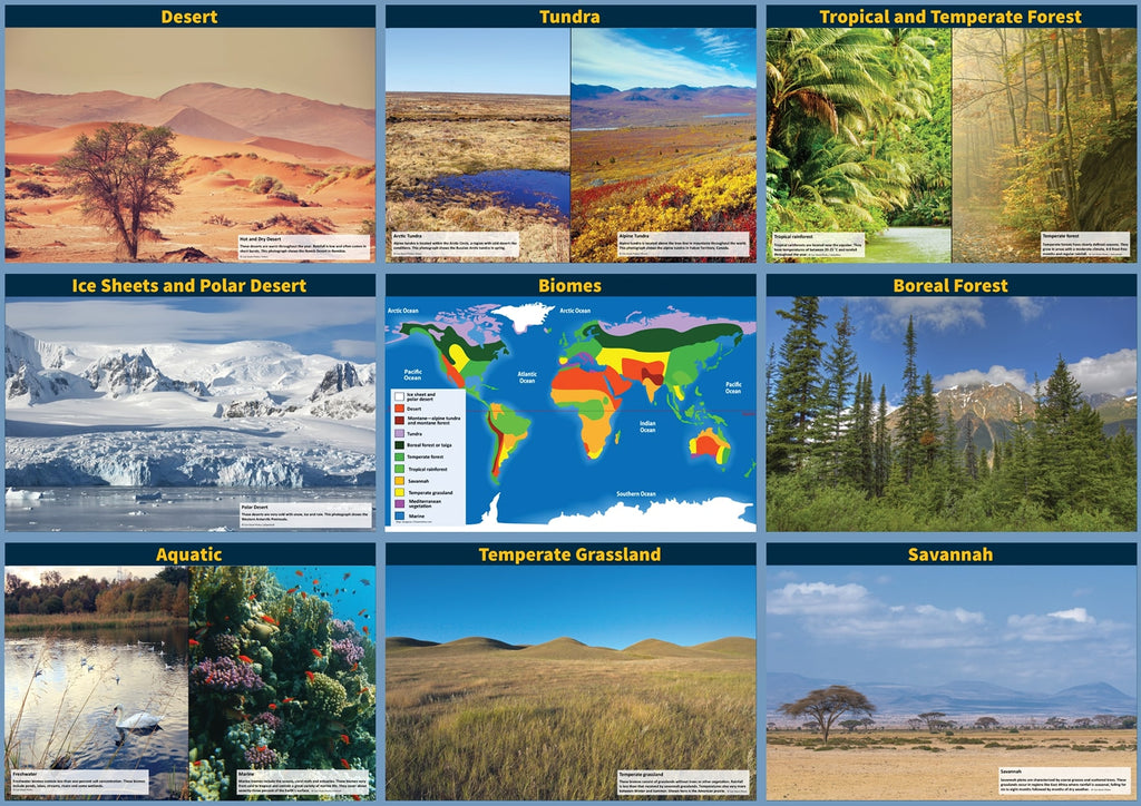 Biomes Display Set - 9 Laminated A3 Panels