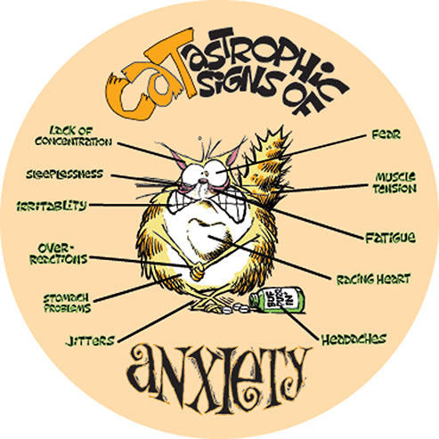 Catastrophic Signs of Anxiety - Magnet