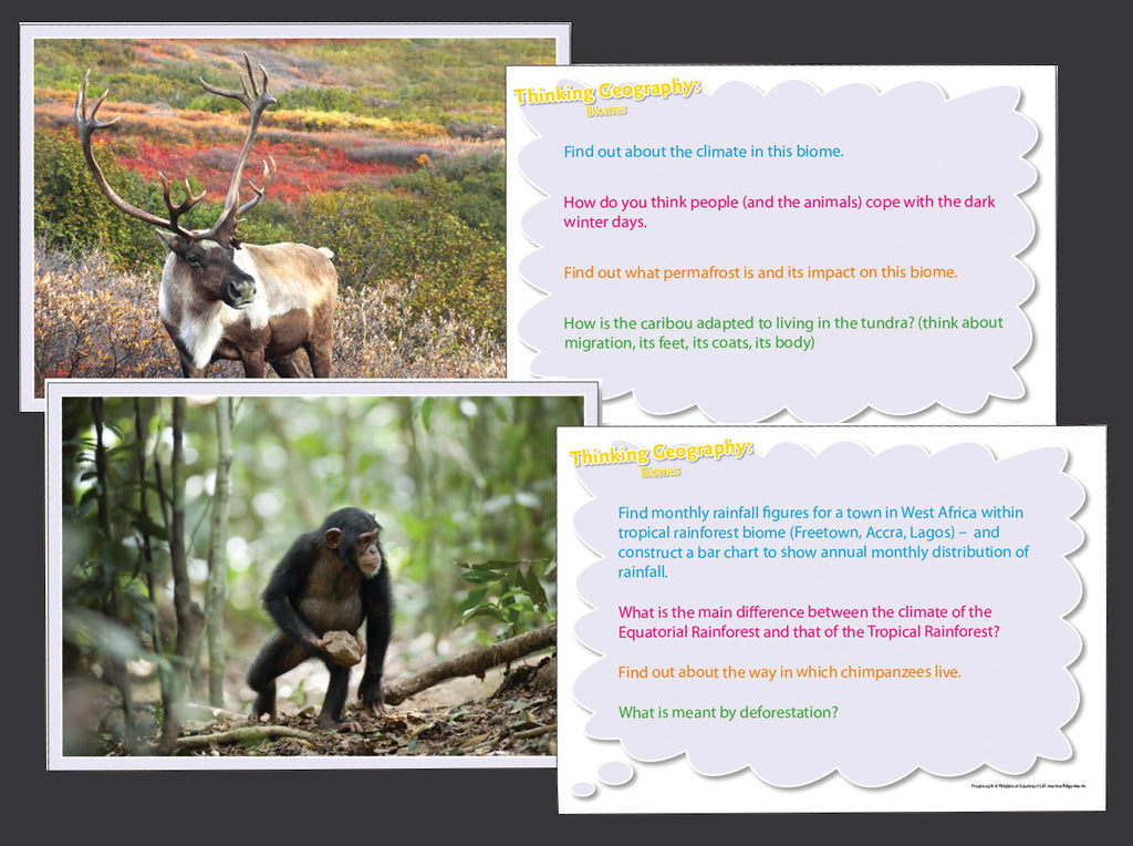 Thinking About Geography - Biomes Cards