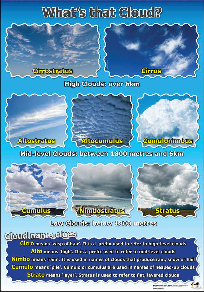 What's That Cloud? Poster - A1